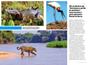 Imagem de Livro - Pantanal - Guia completo