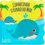 Imagem de Livro para bebe banho divertido educativo conhecendo o fundo do mar