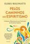 Imagem de Livro - Pelos Caminhos do Espiritismo