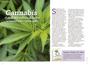 Imagem de Livro - Plantas Medicinais Volume 10: Plantas e receitas para DORES REUMÁTICAS
