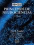 Imagem de Livro - Princípios de Neurociências