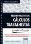 Imagem de Livro - Resumo Prático de Cálculos Trabalhistas