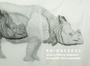 Imagem de Livro - Rhinocerus