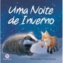 Imagem de Livro - Uma noite de inverno