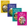 Imagem de Livros Anne Com E Box 8 livros e Apetrechos incriveis