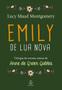 Imagem de Livros Trilogia Emily - Emily de Lua nova + A escalada de Emily + A busca de Emily - Kit de Livros