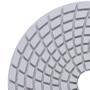 Imagem de Lixa Diamantada 3 estagios Espiral Pro 2 - Ø100mm - Granitos/Mármores/Quartzitos