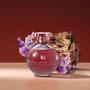 Imagem de Liz Intenso Desodorante Colônia 100ml - Sândalo e mirra - Amadeirado Floral