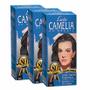 Imagem de Loção Camélia Feminina 140ml Kit C/ 3un