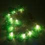 Imagem de Lote 10 Cordões Luz de Led Cacto Rústico Verde 2m