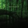 Imagem de Lp Vinil Daytrader - Twelve Years