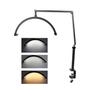 Imagem de Luminária De Mesa Articulável Luz Led Estética Ring Light M3X