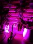 Imagem de Luminária Usb Para Planta Crescer - Hidropônica