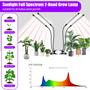 Imagem de Luminárias de Cultivo RWNTAO - 2 Unidades com 168 LEDs de Espectro Completo