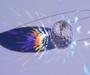 Imagem de Lustre para sala, quarto, banheiro, hall, Cristal k9 base 14x14