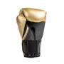 Imagem de Luva de Boxe e Muay Thai Pro Style Elite V2 14OZ Everlast