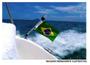 Imagem de Luz Navegação Mastro Strobo e Alcançado Branco Bandeira