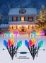 Imagem de Luzes de Caminho de Natal Minetom C9 Duplas - 4m com 10 LEDs