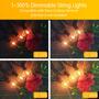 Imagem de Luzes de Cordão Externas DAYBETTER - 15m à Prova D'Água com 25 LEDs
