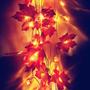 Imagem de Luzes de Cordão LED com Folhas de Abóbora - Decoração de Natal e Ação de Graças