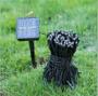 Imagem de Luzes de Fada Solar com 100 LEDs Multicores - 10 Metros de Comprimento