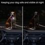 Imagem de Luzes para Coleira de Cachorro Dgmsuoot - Pacote com 2 e 4 Modos RGB
