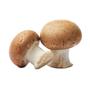 Imagem de Macarrão Pastarotti Fusilli Com Funghi 175G