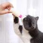 Imagem de Mamadeira Pet Cao Gato Filhote 60ml Kit 4 Unidades Cor Sortida Cachorro Animal de Estimaçao Amamentaçao Higienico Seguro