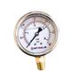 Imagem de Manômetro Vertical Com Glicerina 300 Psi Rosca 1/4 Npt Inox