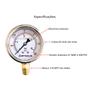 Imagem de Manômetro Vertical Com Glicerina 300 Psi Rosca 1/4 Npt Inox