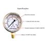 Imagem de Manômetro Vertical Com Glicerina 300 Psi Rosca 1/4 Npt