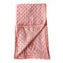 Imagem de Manta Cobertor Soft Plush Para Bebê Bolinhas Pipoquinha Enxoval Gêmeos Inverno Antialérgico