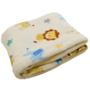 Imagem de Manta Soft Cobertor Macio Infantil Mundo Safari Manta Bebe 90x110cm  Antialérgico