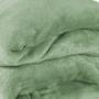 Imagem de Manta Soft Queen Cobertor Microfibra Erva Doce