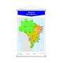 Imagem de Mapa Brasil + Bandeiras + Biomas Kit 3 Banners 80X50Cm