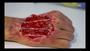 Imagem de Maquiagem Artística Ferida Ossos da Mão Látex +Latex+ sangue