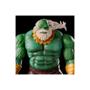 Imagem de Marvel Legends Séries Hulk Maestro Hasbro F0219