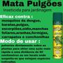 Imagem de Matt Pulgões - Inseticida Para Jardinagem - Aerossol 400 ml