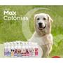 Imagem de Max Colônia Chocolate Branco 500ml Cães E Gatos Perfume AntiAlergico Cachorros Maltes Pug - Petgroom