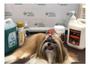 Imagem de Max Colônia Lolly Cães E Gatos 1 Litro - Petgroom Fragrância Antialérgica Cheirosa Todas Raças Pets
