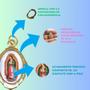 Imagem de Medalha N Sra de Guadalupe + caixa acrílica coração