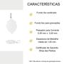 Imagem de Medalha Prata de Lei 925 Pequena Ornato Nossa Senhora do Carmo - 18