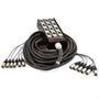 Imagem de Medusa 12 Vias Com Conectores Xlr Neutrik - 10 Metros