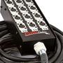 Imagem de Medusa 12 Vias Com Conectores Xlr Neutrik - 60 Metros