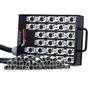 Imagem de Medusa 28 Vias Com Conectores Xlr Neutrik - 5 Mt