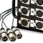 Imagem de Medusa 6 Vias Montada Com Conectores Cirilo Cabos 25M