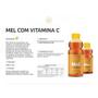 Imagem de Mel Puro Com Vitamina C Natural Multyflora 250g