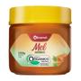 Imagem de Mel Silvestre Minamel 250g