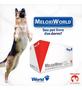 Imagem de Meloxiworld 0,5mg Display com 10 comp.