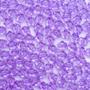 Imagem de Miçanga Flor Acrílico Roxo Transparente 5 Pétalas 6mm 500pçs 50g Passante